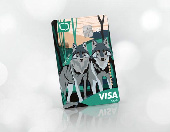 VISA Business Credit